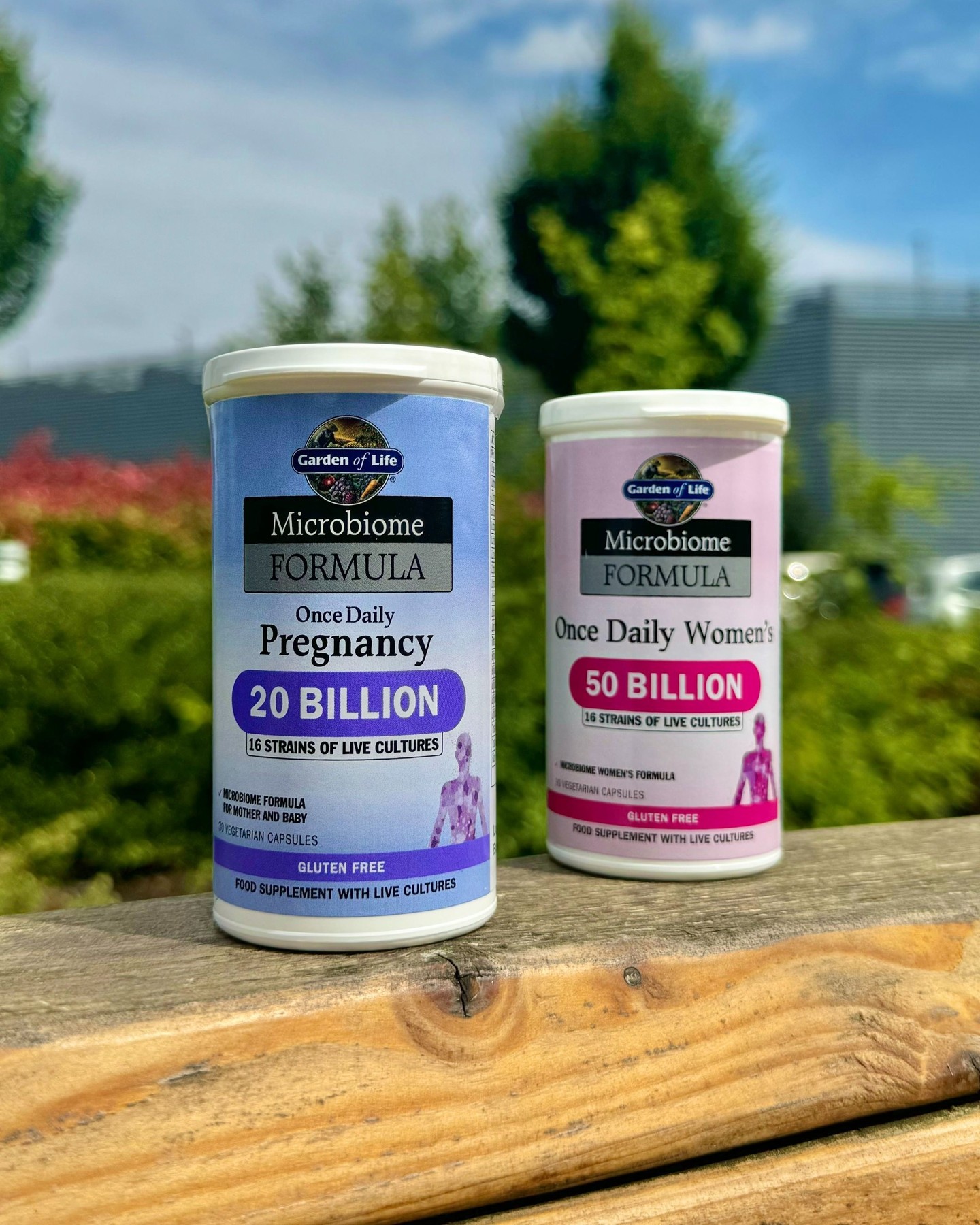 pregnancy vitamins